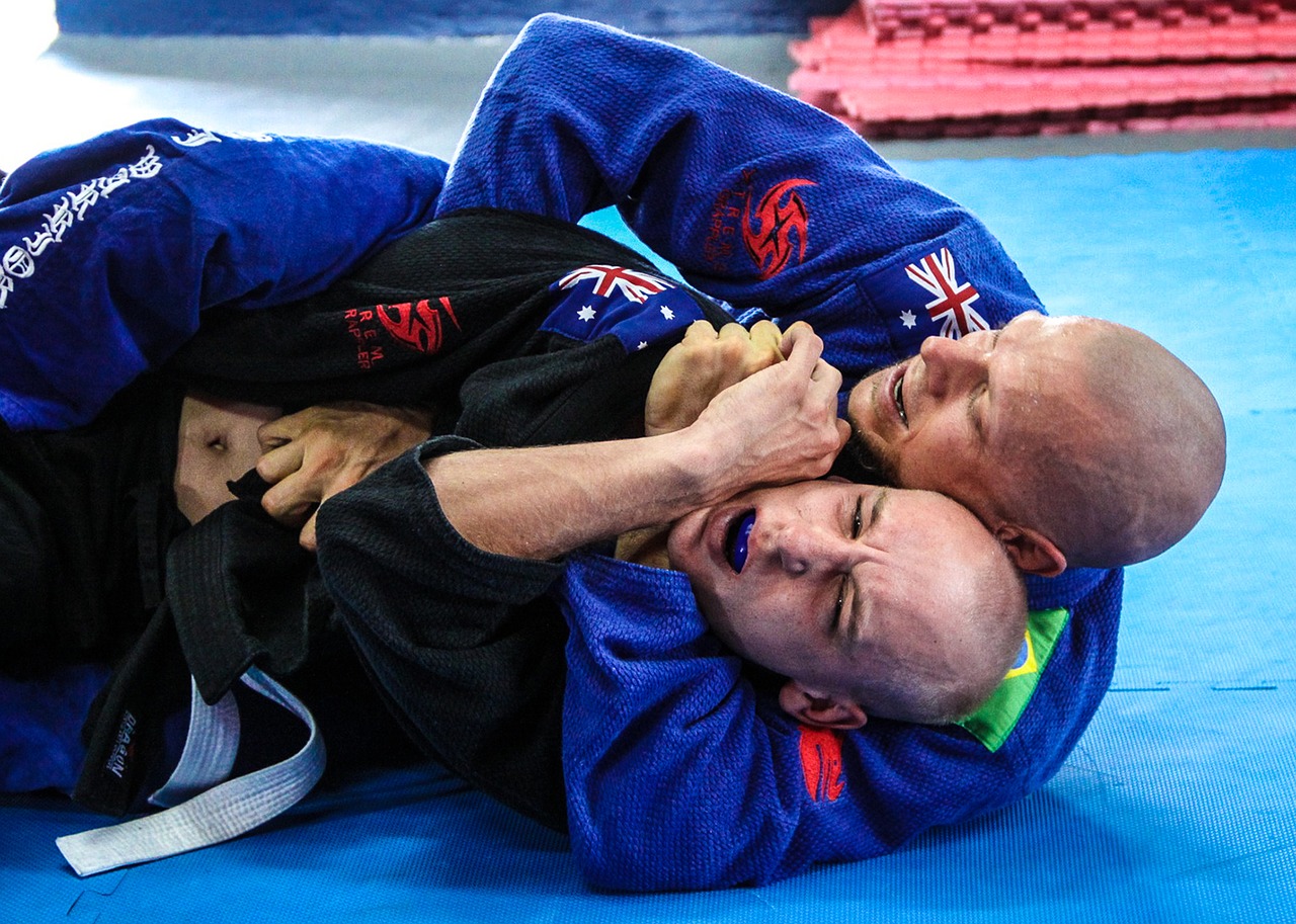 judo vs jiu jitsu